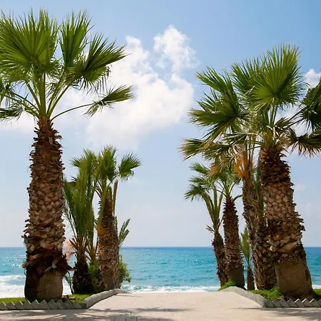 Louis Paphos Breeze 4* Klorakas